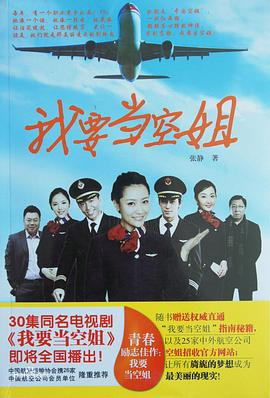 我要当空姐 (2013)海报