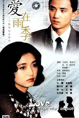 爱在雨季 (1992)海报