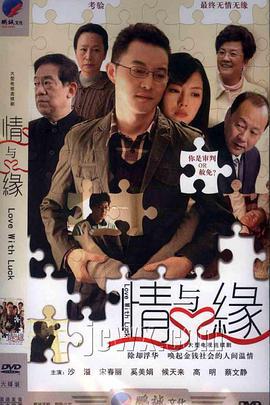 情与缘 (2013)海报
