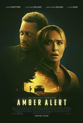 安珀警报 Amber Alert (2024)海报