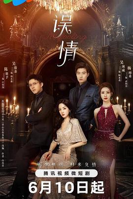 误情 (2024)海报