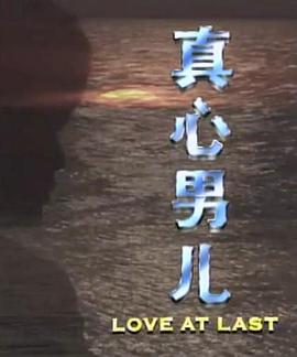 真心男儿 (1994)海报
