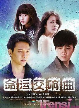 命运交响曲 (2011)海报