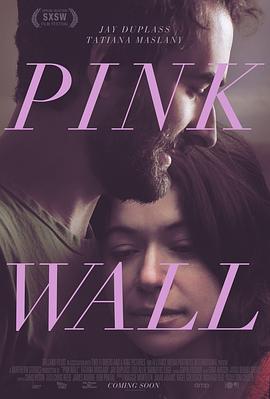 迷粉爱墙 Pink Wall (2019)海报