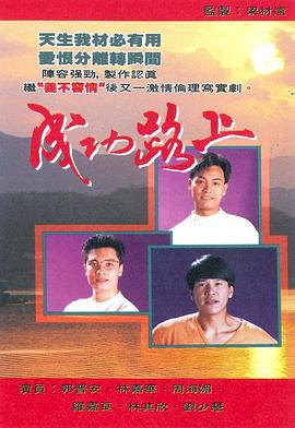成功路上 (1990)海报