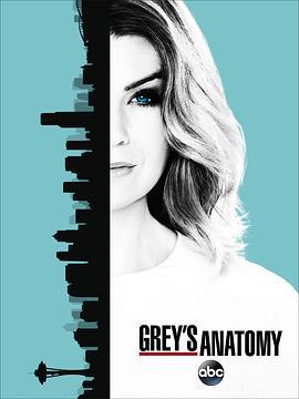 实习医生格蕾 第十三季 Grey's Anatomy Season 13 (2016)海报