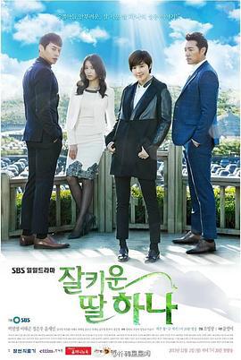 好好长大的女儿荷娜 잘 키운 딸 하나 (2013)海报