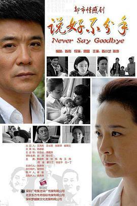 说好不分手 (2011)海报