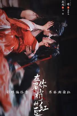 在你眉梢种红豆 (2026)海报