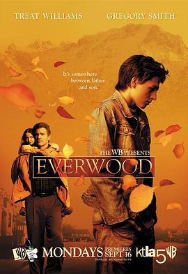 雪山镇 第一季 Everwood Season 1 (2002)海报