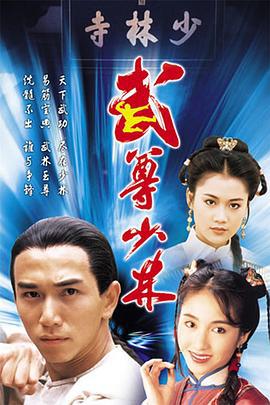 武尊少林 (1993)海报