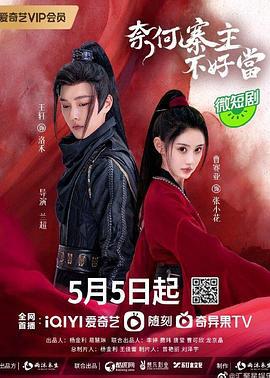 奈何寨主不好当 (2023)海报