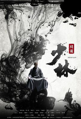 少林问道 (2016)海报