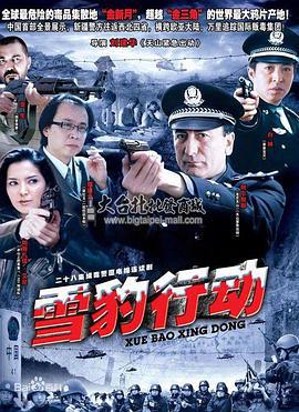 雪豹行动 (2011)海报