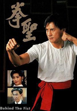 拳圣 (1993)海报