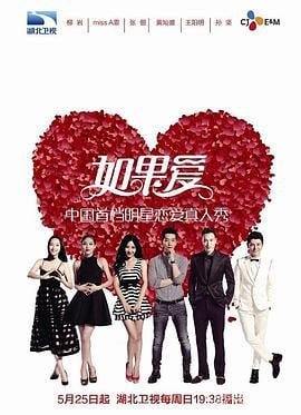 如果爱 第一季 (2014)海报