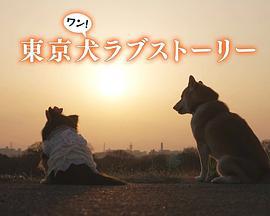 东京犬爱情故事 東京犬ラブストーリー (2023)海报