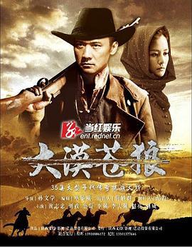 大漠苍狼 (2013)海报