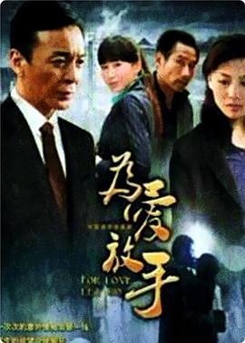 为爱放手 (2011)海报