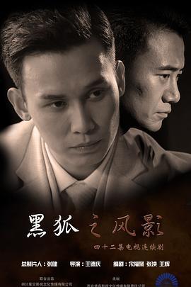 黑狐之风影 (2016)海报