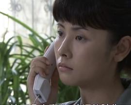 湖光山色 (2011)海报
