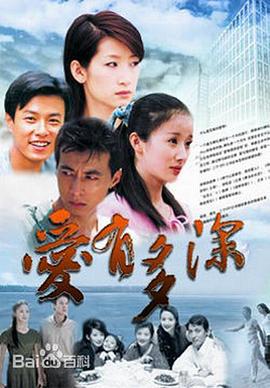 爱有多深 (2006)海报