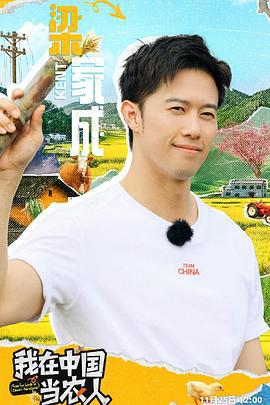 我在中国当农人 (2024)海报