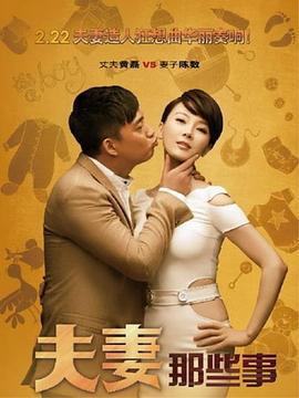 夫妻那些事 (2012)海报