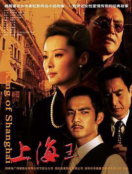 上海王 (2008)海报