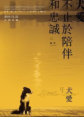 犬爱 (2019)海报