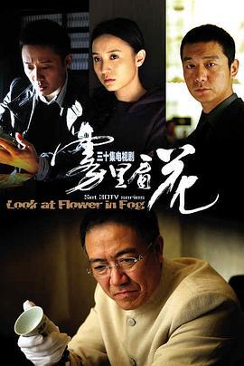 雾里看花 (2009)海报