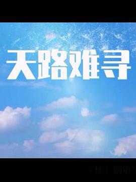 天路难寻 (2017)海报