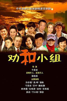 劝和小组 (2013)海报