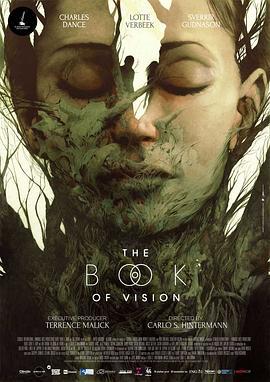 幻觉之书 The Book of Vision (2020)海报