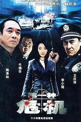 第一种危机 (2004)海报