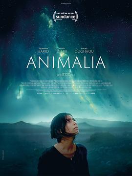 动物界 Animalia (2023)海报
