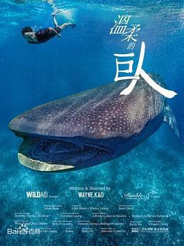 温柔的巨人 (2020)海报
