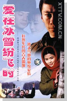 爱在冰雪纷飞时 (2000)海报