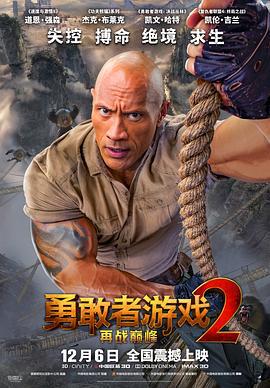 勇敢者游戏2：再战巅峰 Jumanji: The Next Level (2019)海报