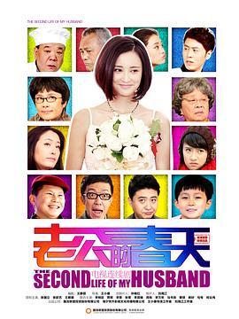 老公的春天 (2013)海报