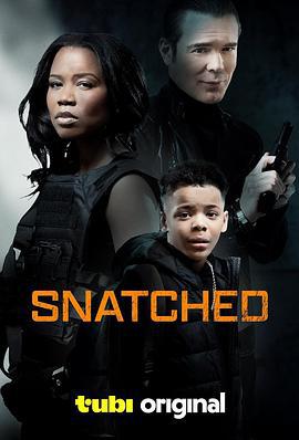 别惹虎妈 Snatched (2024)海报