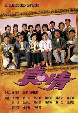 真情 (1995)海报
