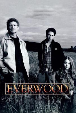 雪山镇 第二季 Everwood Season 2 (2003)海报