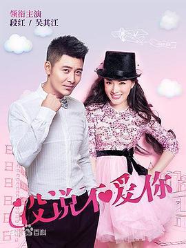 没说不爱你 (2015)海报