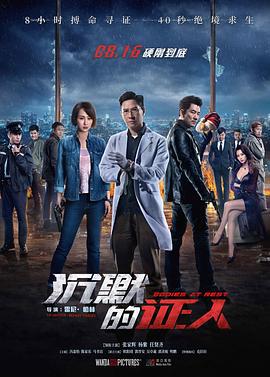 沉默的证人 (2019)海报