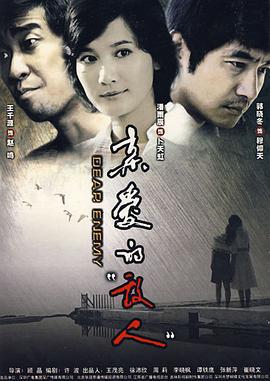 亲爱的敌人 (2008)海报