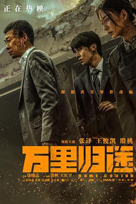 万里归途 (2022)海报