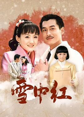 雪中红 (2009)海报
