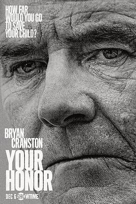 法官大人 第一季 Your Honor Season 1 (2020)海报