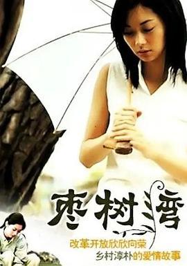 枣树湾 (2003)海报